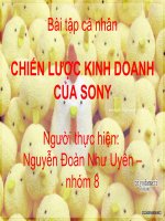 chiến lược kinh doanh của sony - thuyết trình môn quản trị doanh nghiệp thương mại
