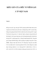 KIỂU GEN CỦA SIÊU VI VIÊM GAN C Ở VIỆT NAM ppt