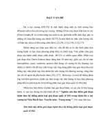 Nghiên cứu đặc điểm giai đoạn bệnh theo hệ thống phân loại giai đoạn quốc tế ISS trong bệnh đa u tuỷ xương tại viện huyết học  truyền máu   trung ương