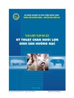 Kỹ thuật chăn nuôi lợn sinh sản hưởng lạc - CHUYÊN ĐỀ 1 GIỐNG LỢN VÀ KỸ THUẬT CHỌN LỢN HẬU BỊ pps