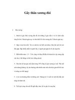 Gãy thân xương đùi docx