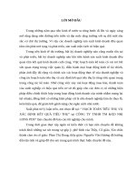 hạch toán tiêu thụ và xác định kết quả tiêu thụ tại công ty tnhh thương mại & xd nhị long pds