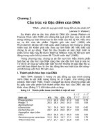 Chương 3 Cấu trúc và Đặc điểm của DNA pps
