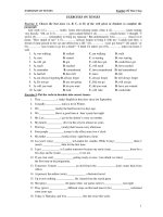 EXERCISES ON TENSES pdf