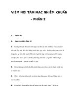 VIÊM NỘI TÂM MẠC NHIỄM KHUẨN – PHẦN 2 pot