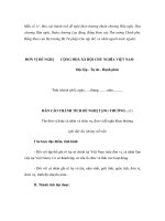 Mẫu báo cáo thành tích đề nghị khen thưởng Huân chương Hữu nghị, Huy chương Hữu nghị, Huân chương Lao động, Bằng khen của Thủ tướng Chính phủ, Bằng khen của Bộ trưởng Bộ Tư pháp (cho tập thể, cá nhân người nước ngoài) ppt