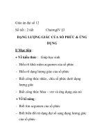 Giáo án đại số 12: DẠNG LƯỢNG GIÁC CỦA SỐ PHỨC & ỨNG DỤNG potx
