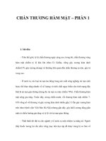 CHẤN THƯƠNG HÀM MẶT – PHẦN 1 ppt