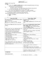 ARTICLES (mạo từ) ppt