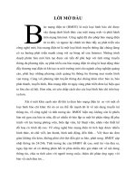 Tiểu luận khảo sát thông kê báo vietnamnet ppt