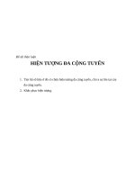 hiện tượng đa cộng tuyến, kinh tế lượng