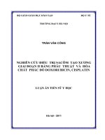 Nghiên cứu điều trị sacôm tạo xương giai đoạn II bằng phẫu thuật và hóa chất phác đồ doxorubicin, cisplatin