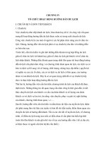 Giáo trình nghiệp vụ hướng dẫn - CHƯƠNG IV TỔ CHỨC HOẠT ĐỘNG HƯỚNG DẪN DU LỊCH potx