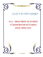 LUẬN VĂN: 