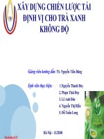 xây dựng chiến lược tái định vị thương hiệu cho sản phẩm trà xanh không độ