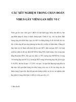 CÁC XÉT NGHIỆM TRONG CHẨN ĐOÁN VIRUS GÂY VIÊM GAN SIÊU VI C doc