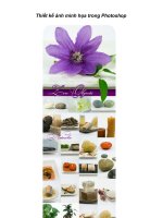 Thiết kế ảnh minh họa trong Photoshop phần 1 ppsx