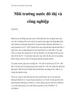 Việt Nam môi trường và cuộc sống - Phần 19 doc