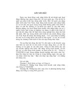 Báo cáo tổng hợp tại công ty xuất nhập khẩu với lào