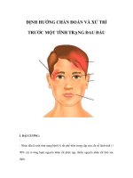 ĐỊNH HƯỚNG CHẨN ĐOÁN VÀ XỬ TRÍ TRƯỚC MỘT TÌNH TRẠNG ĐAU ĐẦU ppsx