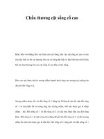 Chấn thương cột sống cổ cao doc