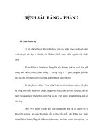 BỆNH SÂU RĂNG – PHẦN 2 doc