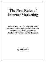 The New Rules of Internet Marketing