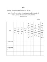 MẪU BÁO CÁO TOÀN HỆ THỐNG VỀ CHÊNH LỆCH LÃI SUẤT CẤP BÙ THEO LÃI SUẤT TÍN DỤNG ĐẦU TƯ PHÁT TRIỂN (Tháng/Quý/Năm) doc