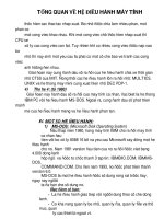 GIÁO ÁN TRƯỜNG CD CÔNG NGHỆ THÔNG TIN: TỔNG QUAN VỀ HỆ ĐIỀU HÀNH MÁY TÍNH_1 pdf