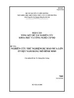 Nghiên cứu thử nghiệm dự báo mưa lớn ở Việt Nam bằng mô hình MM5