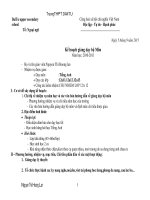 Giáo án giảng dạy bộ Môn Năm học: 2010-2011 pptx