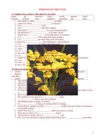 EXERCISES ON ADJECTIVES pps