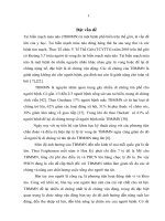 Đánh giá kết quả hoạt động trị liệu trong phục hồi chức năng vận động chi trên ở bệnh nhân tai biến chảy máu não trên lều