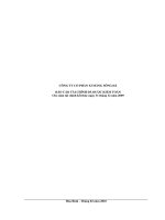 công ty cổ phần xi măng sông đà báo cáo tài chính đã được kiểm toán cho năm tài chính kết thúc ngày 31 tháng 12 năm 2009