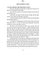 BÀI GIẢNG CHỌN GIỐNG CÂY TRỒNG CHUYÊN KHOA 1 - BÀI 4 potx