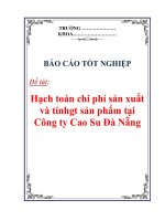 Báo cáo tốt nghiệp: 