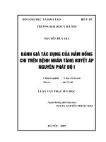 Đánh giá tác dụng của nấm hồng chi trên bệnh nhân tăng huyết áp nguyên phát độ i