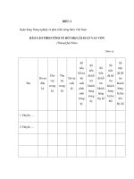 MẪU BÁO CÁO THEO TỈNH VỀ HỖ TRỢ LÃI SUẤT VAY VỐN (Tháng/Quý/Năm) docx