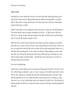 Khí quyển và hải dương - Thủy Triều ppt