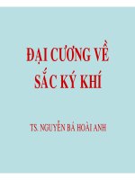 ĐẠI CƯƠNG VỀ SẮC KÝ KHÍ part 1 docx