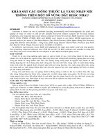 BÁO CÁO NGHIÊN CỨU KHOA HỌC KỸ THUẬT: KHẢO SÁT CÁC GIỐNG THUỐC LÁ VÀNG NHẬP NỘI TRỒNG TRÊN MỘT SỐ VÙNG ĐẤT KHÁC NHAU pps