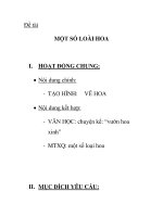 Giáo án mầm non chương trình đổi mới: MỘT SỐ LOÀI HOA doc