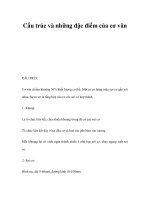 Cấu trúc và những đặc điểm của cơ vân ppt