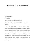 HỆ THỐNG 12 ĐẠO TRÌNH ECG ppsx