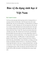 Việt Nam môi trường và cuộc sống - Phần 16 pps