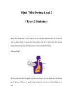 Bệnh Tiểu Đường Loại 2 (Type 2 Diabetes) docx