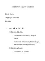 Giáo án mầm non chương trình đổi mới: Đề tài: văn học Truyện: gió và mặt trời Lớp Mầm ppsx