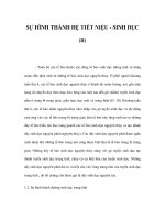 SỰ HÌNH THÀNH HỆ TIẾT NIỆU - SINH DỤC (tt) doc