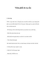 Viêm phổi do tụ cầu doc