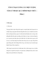 TÂM LÝ ĐẠI CƯƠNG CÁC HIỆN TƯỢNG TÂM LÝ THUỘC QUÁ TRÌNH NHẬN THỨC – Phần 2 pps